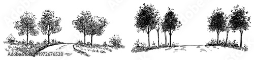 Trees growing along a rural path in panoramic landscape scenes hand drawn doodle style