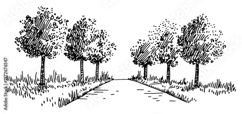 Country road lined with trees and grass in hand drawn sketch style