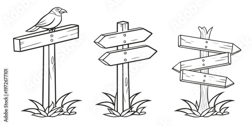 Illustrations of a plant and insect life cycle stages
