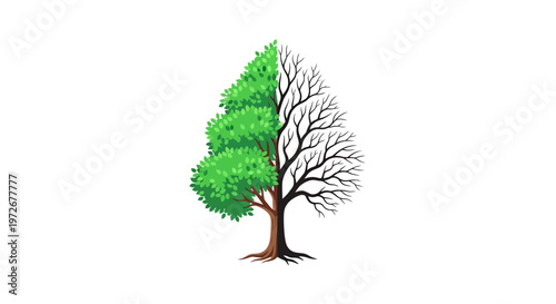 Tree Half Green and Half Dry, Symbolizing Environmental Damage and Climate Change on Isolated White Background.