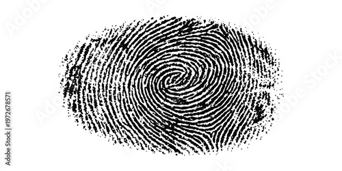 A highly detailed black and white graphic illustration of a human fingerprint isolated on white