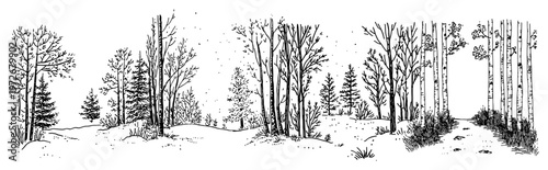 Winter forest landscape with bare trees and snow in dynamic ink sketch style