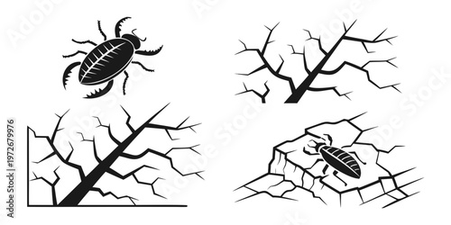 Detailed illustrations of beetle anatomy and body segments