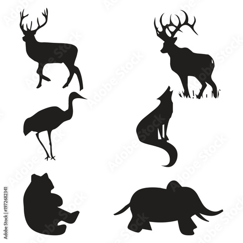 Set of illustration exotic animals illustration