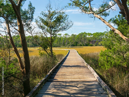 Perspective of a boardwalk in shadow and sunlight in Tolomato River Boardwalk Preserve, a marshy conservation area in suburban St. Augustine, on an autumn afternoon in Florida. Environmental motifs.