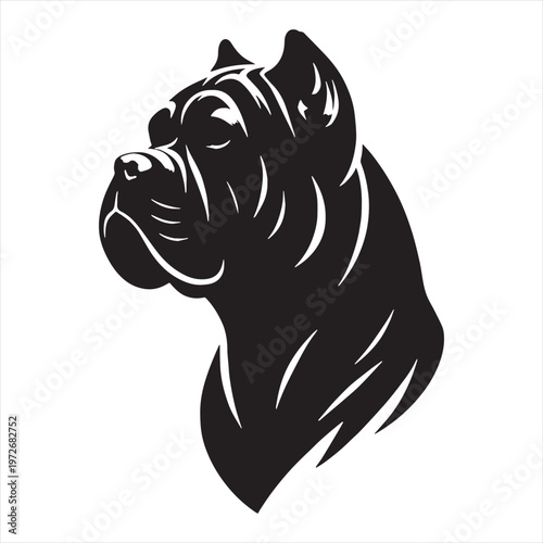Cane Corso Dog Powerful Loyal Italian Mastiff Breed Known for Strength Intelligence Protective Nature Family Guardian Confident Personality Muscular Body Fearless Attitude Excellent Guard Dog.