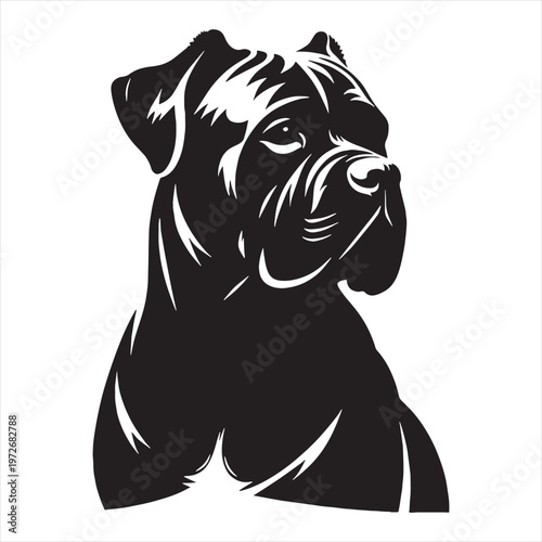 Cane Corso Dog Powerful Loyal Italian Mastiff Breed Known for Strength Intelligence Protective Nature Family Guardian Confident Personality Muscular Body Fearless Attitude Excellent Guard Dog.