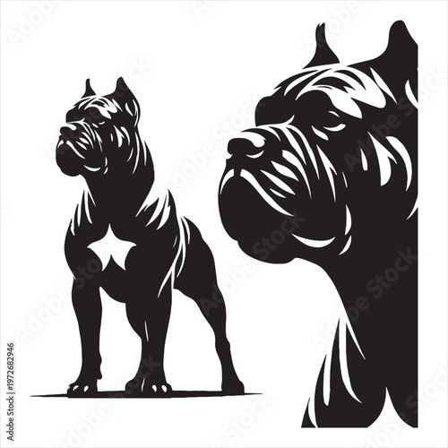 Cane Corso Dog Powerful Loyal Italian Mastiff Breed Known for Strength Intelligence Protective Nature Family Guardian Confident Personality Muscular Body Fearless Attitude Excellent Guard Dog.