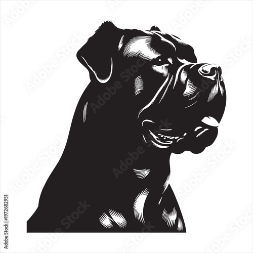 Cane Corso Dog Powerful Loyal Italian Mastiff Breed Known for Strength Intelligence Protective Nature Family Guardian Confident Personality Muscular Body Fearless Attitude Excellent Guard Dog.