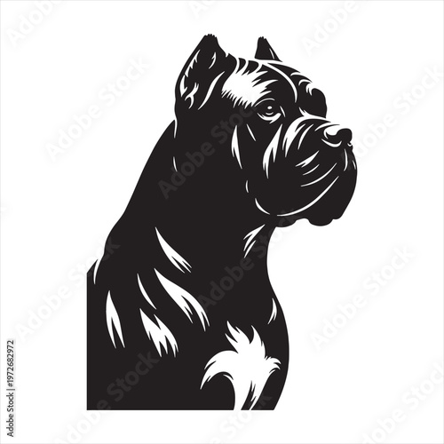 Cane Corso Dog Powerful Loyal Italian Mastiff Breed Known for Strength Intelligence Protective Nature Family Guardian Confident Personality Muscular Body Fearless Attitude Excellent Guard Dog.