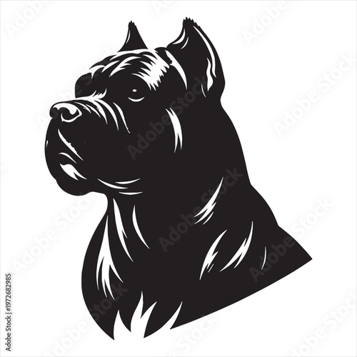 Cane Corso Dog Powerful Loyal Italian Mastiff Breed Known for Strength Intelligence Protective Nature Family Guardian Confident Personality Muscular Body Fearless Attitude Excellent Guard Dog.