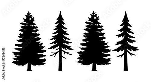 Pine tree silhouette collection, set of 4 evergreen conifer vectors, black forest fir and spruce icons isolated on white background for outdoor branding