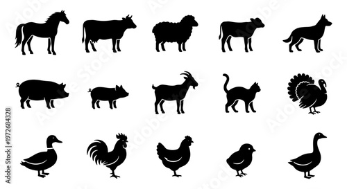 Farm animal silhouettes set, 15 livestock and poultry vector icons, black domestic animal shapes for agriculture and butchery design
