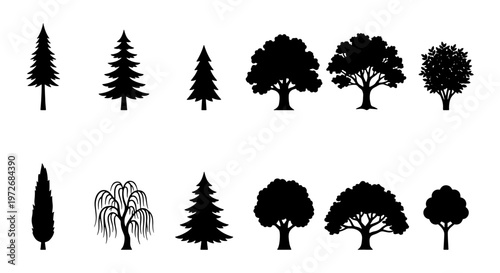 Black tree silhouettes collection, set of 12 forest and garden tree icons, minimalist pine and oak tree vector elements for landscape design