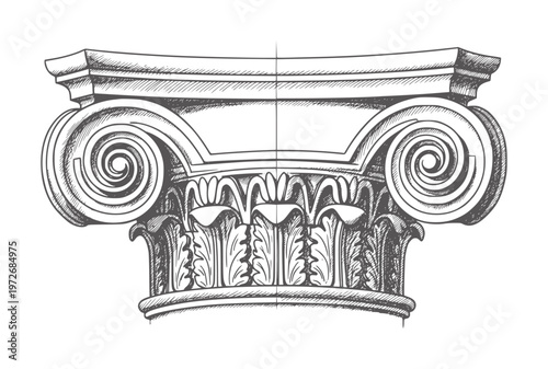 Ionic column capital with acanthus leaves and volutes architectural