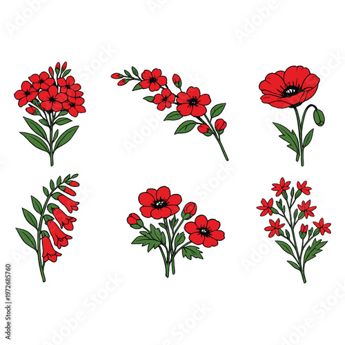 Foto A set of six red flowers with