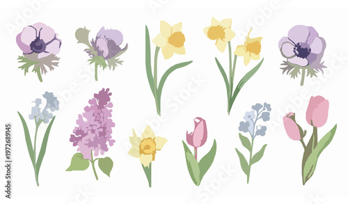Spring watercolor floral set with anemone daffodil tulip and lilac flowers