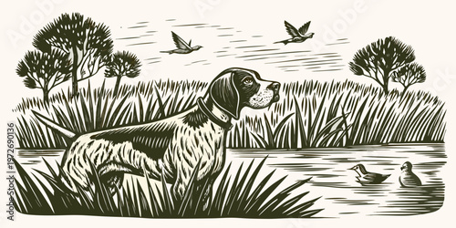 A pointer dog gazes intently at birds flying over a wetland scene