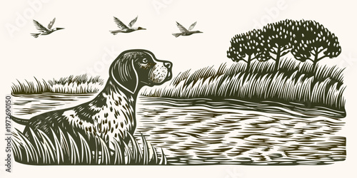 A vintage style illustration of a dog watching birds fly over water