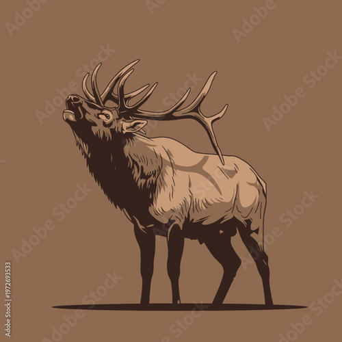 Elk with large antlers vocalizing loudly.