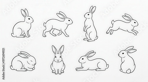 Collection of Hand-Drawn Bunny Illustrations for Spring and Easter Designs