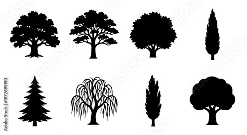 Black tree silhouettes set, collection of 8 botanical vector elements, deciduous and coniferous tree icons for landscape design and environmental graphics