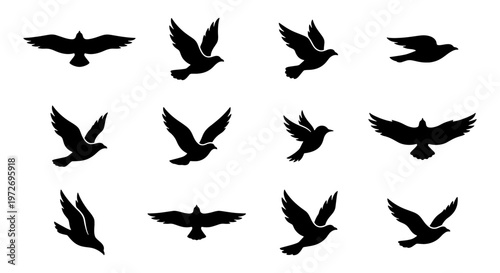Flying bird silhouettes collection, set of 12 black pigeon and dove icons, soaring eagle and hawk vector shapes for nature and peace designs