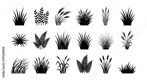 Bild auf Leinwand Black grass silhouettes collection, 18 botanical plant elements vector set, wild