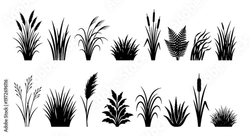 Black grass silhouette collection, 15 marsh and meadow plant vector elements, botanical reed and cattail icons for landscape design