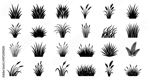 Black grass silhouette collection, 24 vector meadow plants and marsh reeds, botanical garden weed icons, nature landscape design elements