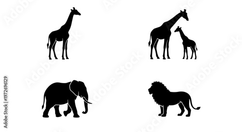 African safari animal silhouettes set, black giraffe and elephant vector icons, wild lion and calf illustrations on white background