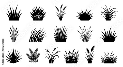 Black grass silhouette set, 15 botanical plant vector elements, meadow weeds and reed tufts collection, garden greenery icons for landscape design