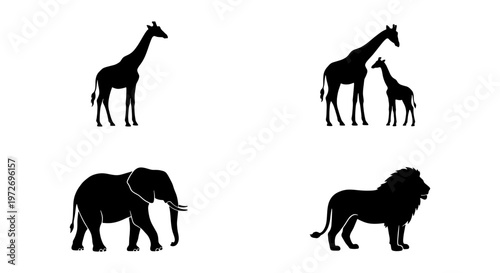 African safari animal silhouettes, black giraffe and elephant vector set, wild lion and calf icons, isolated wildlife collection for nature design