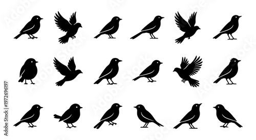 Fotografie Black bird silhouette collection, 18 flying and perched songbird icons, minimali