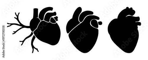 Cardiology heart organ icon set with solid black icon on white background featuring medical, anatomy, cardiovascular with simple and graphic