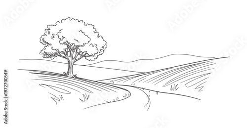 Of a winding road through rolling hills with a single tree