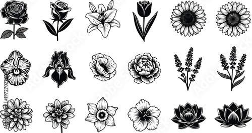 Collection of black and white floral flower rose lily tulip