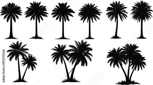 Silhouettes of palm trees in various styles, vector set.