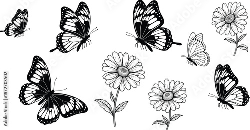 Collection of black and white butterflies and daisies on transparent background.
