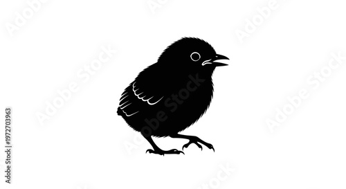 A small black bird silhouette standing on one leg on white background with open beak