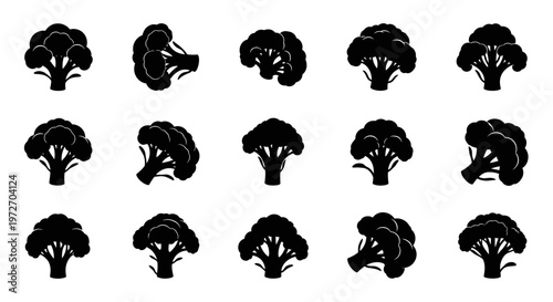 Set of black broccoli silhouettes on white background vegetable icons for design and nutrition concepts