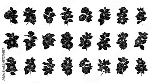Collection of black floral designs with leaves on white background for decoration and craft