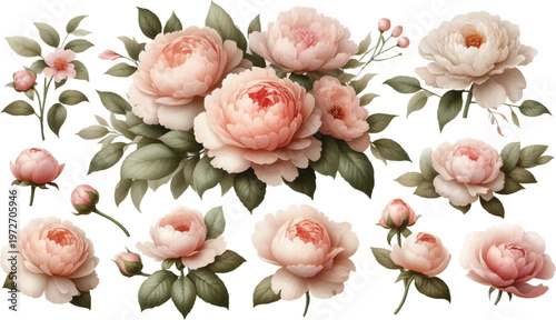 Vintage Watercolor Floral Background, Dusty Rose Flowers, Romantic Wedding Design