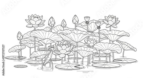 A serene pond scene with lotus flowers.
