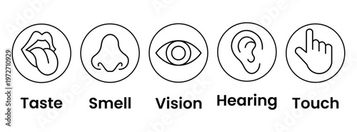 Human senses icon set. Vision eye, smell nose, hearing ear, touch hand, taste mouth with tongue. Simple line icons and black circle. Five senses of human nervous system. Vector illustration.