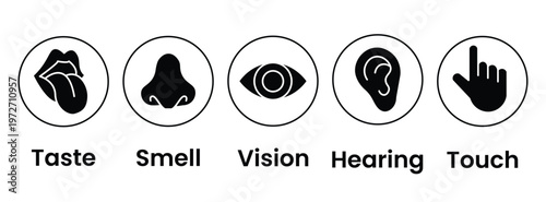 Human senses icon set. Vision eye, smell nose, hearing ear, touch hand, taste mouth with tongue. Simple line icons and black circle. Five senses of human nervous system. Vector illustration.