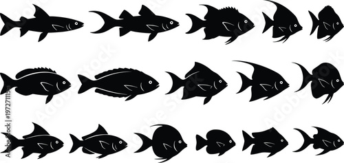 Set of Fifteen Black Fish Silhouettes on White Background