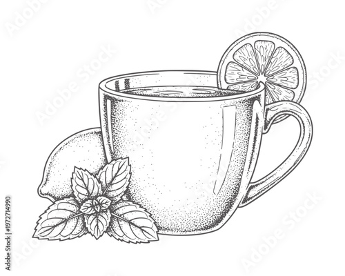 Black and white of a cup of tea with lemon and mint slice