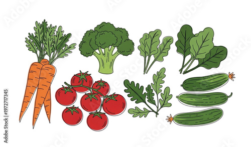 Flat cartoon hand drawn fresh vegetable collection vector illustration