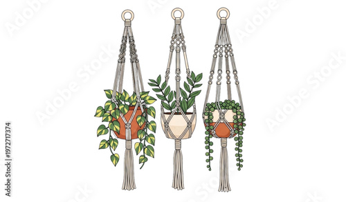 Cartoon macrame hanging planters vector illustration set